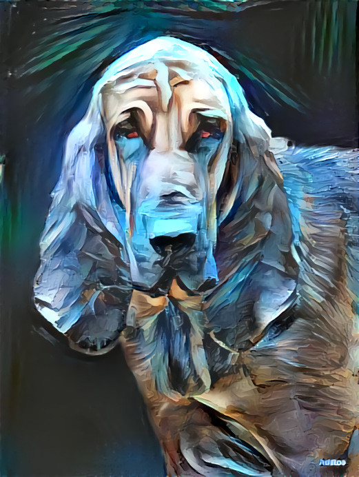 My bloodhound Lorenza