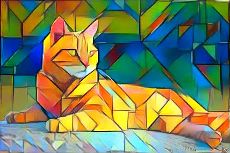 Gato no universo mosaico