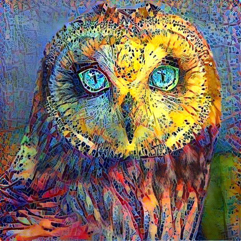 The Owl of Magic