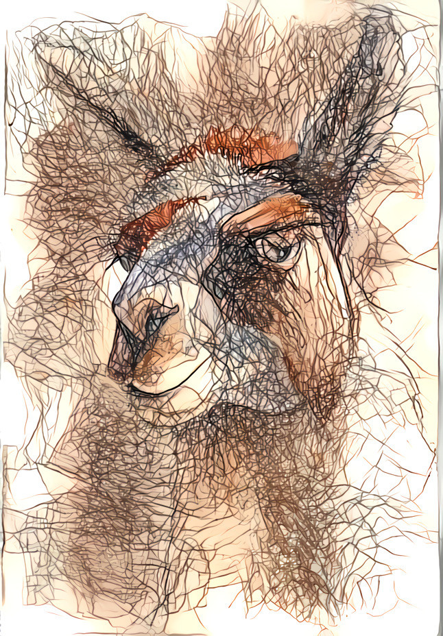 Peruvian Llama - 04b
