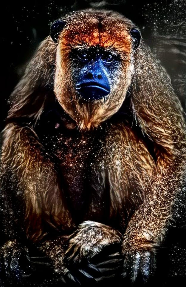 Sloth Monkey