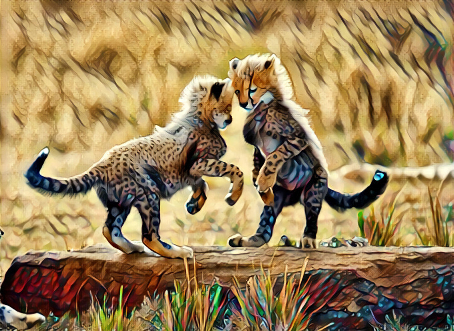 Cheeta Cubs