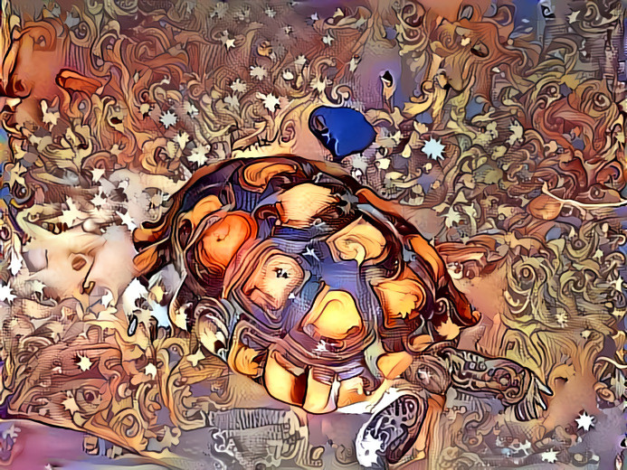 Desert Painted Tortoise