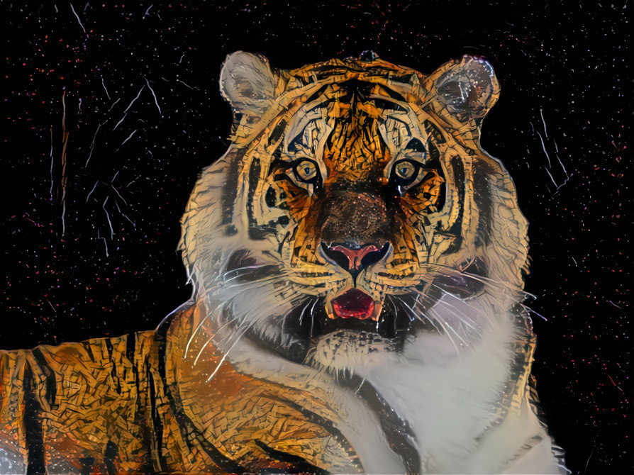 animal project - Tigre illusion