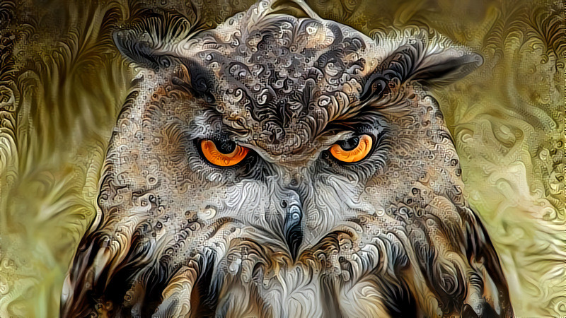 Deep Dream: Owl With Attitude (Ver.3)