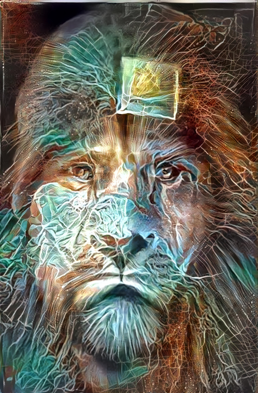 My Lion Side of Me