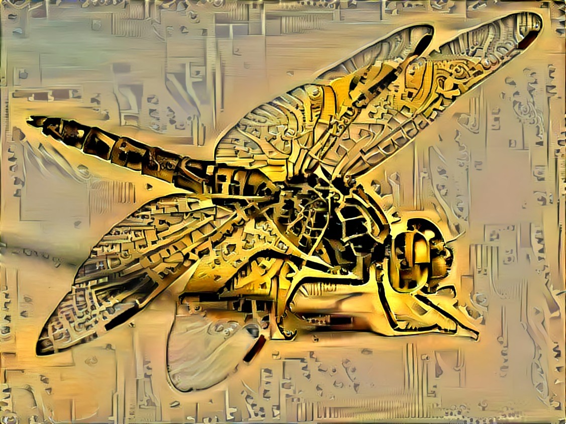 "The dragonfly escaped from a mechanical workshop" T.D.