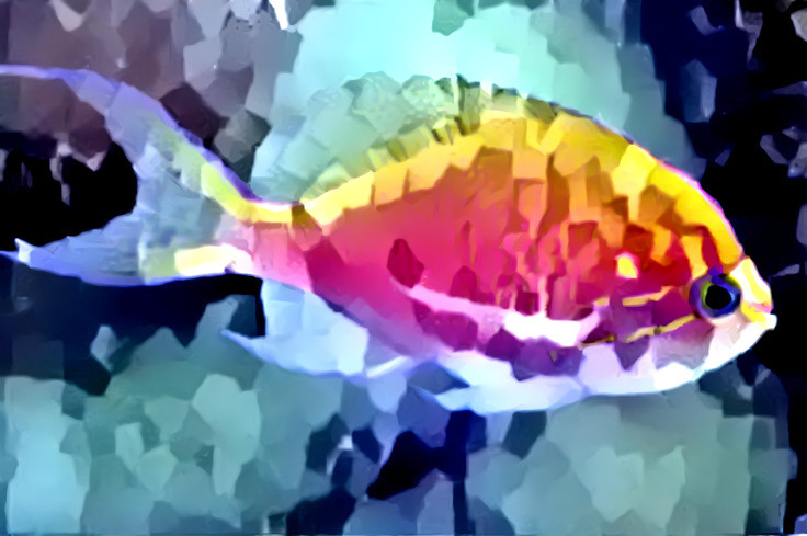 Colorful Fish (Geometric)