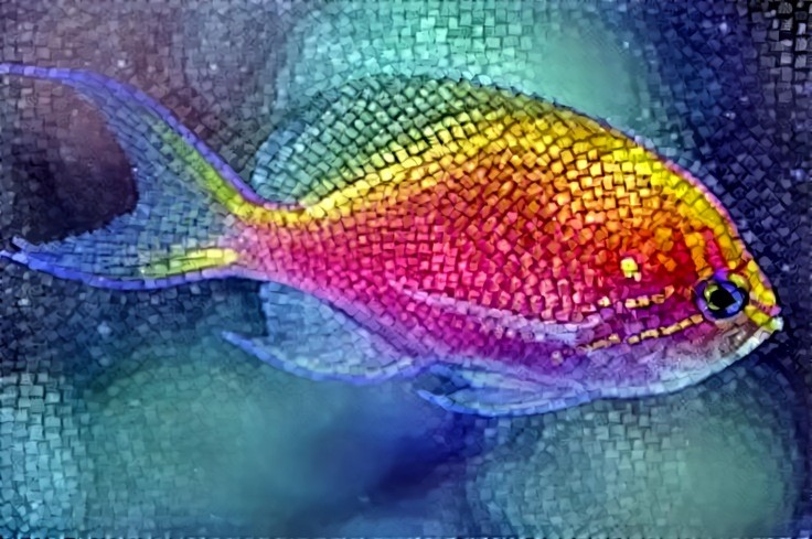 Colorful Fish (Mosaic)