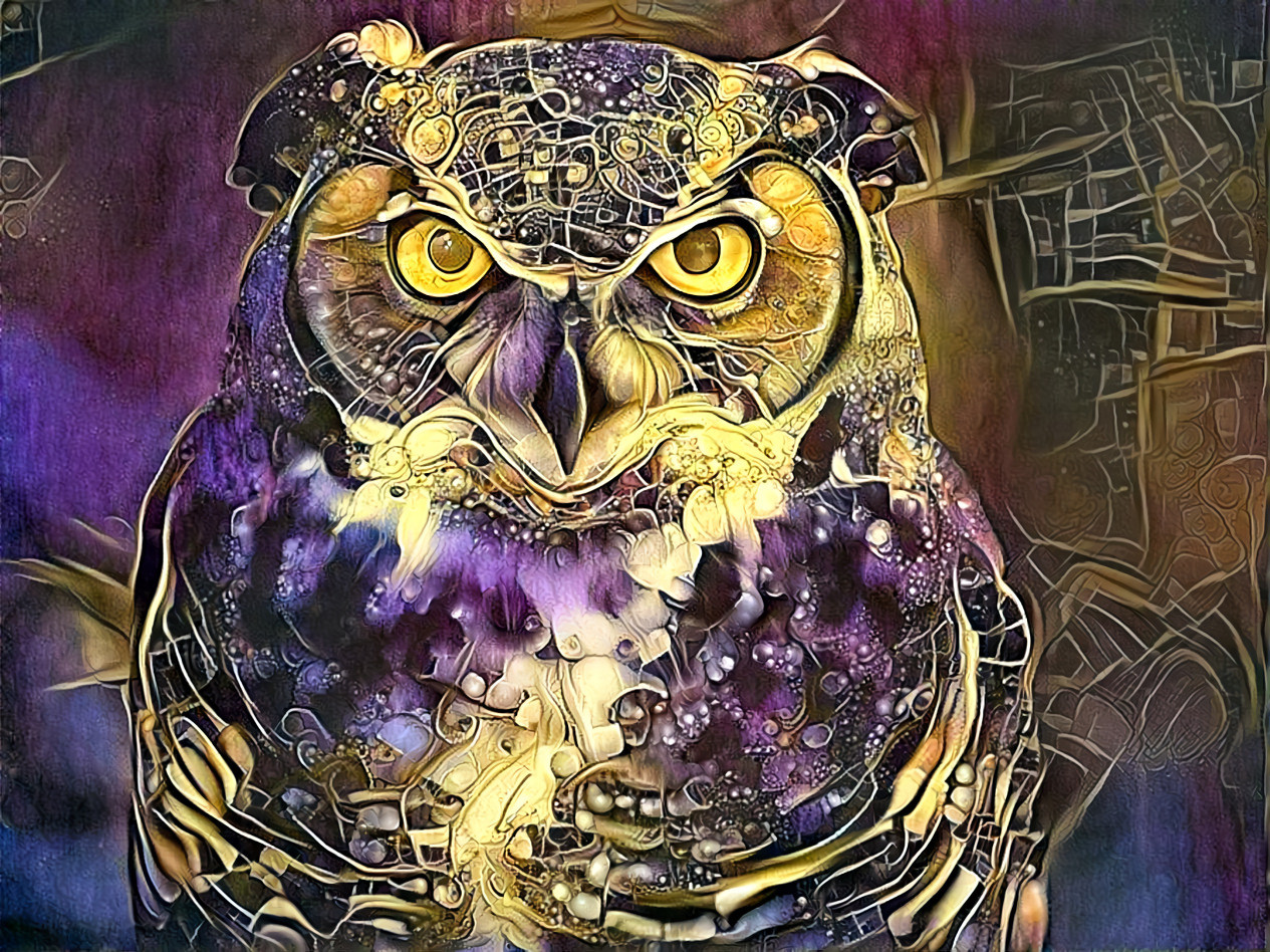 Purple Owl 