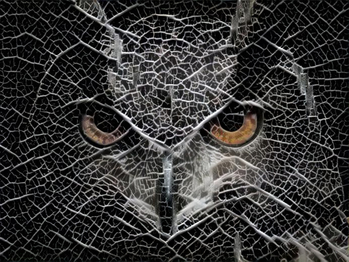 Fractured Owl