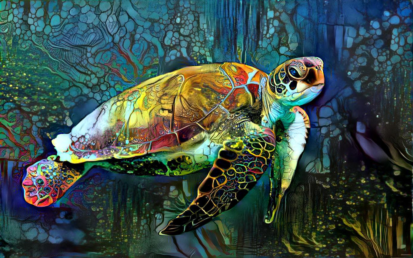 Sea Turtle (Photo by Wexor Tmg on Unsplash)