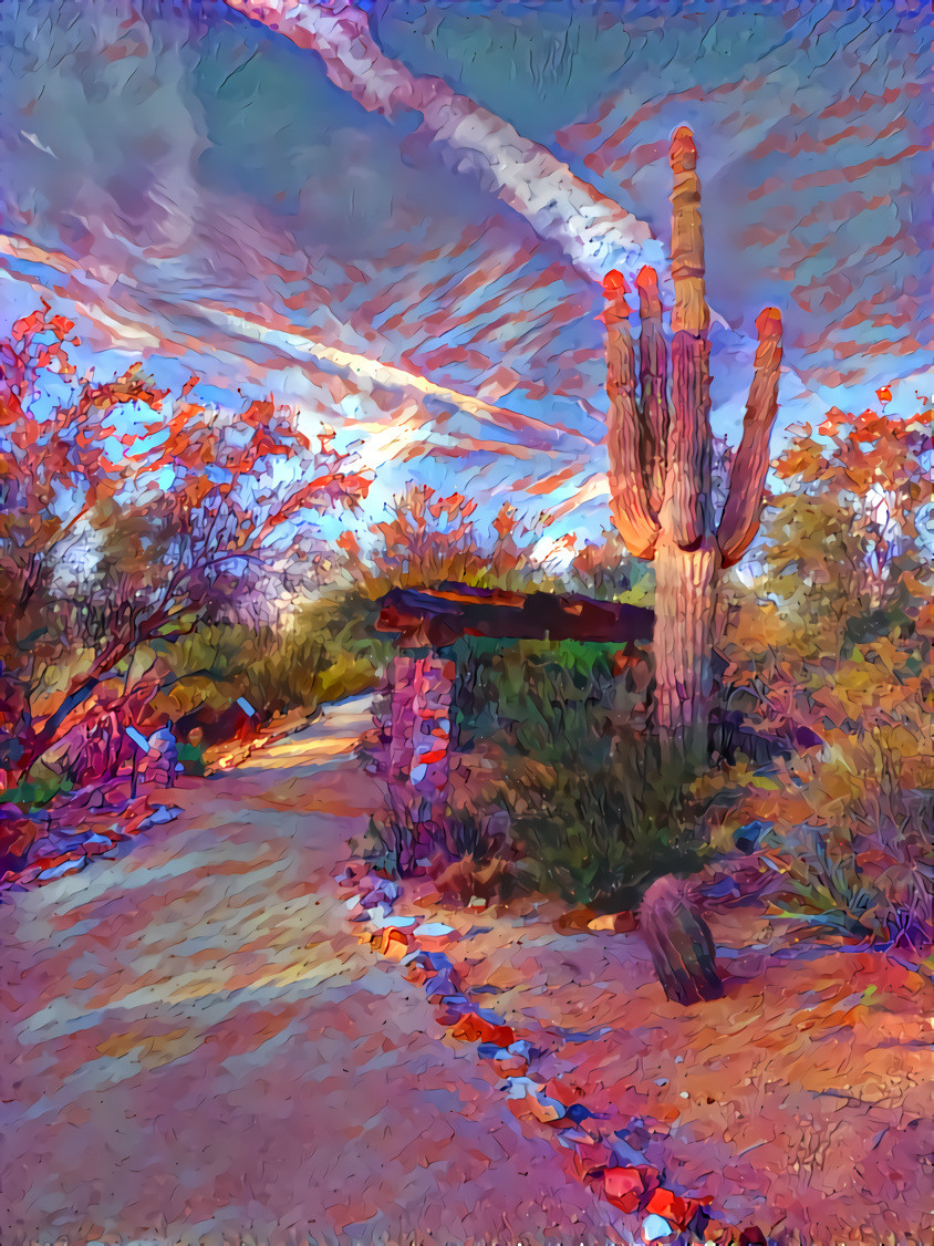 Desertscape-2, Scottsdale, AZ