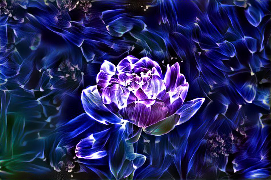 Blue lotus