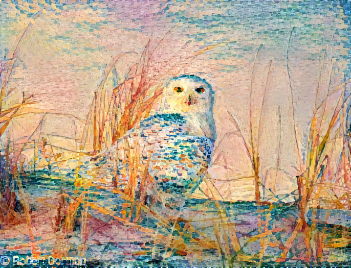 Snowy Owl a la Monet