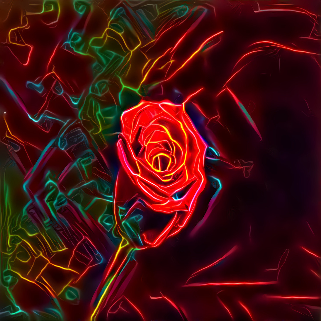 Neon Rose 