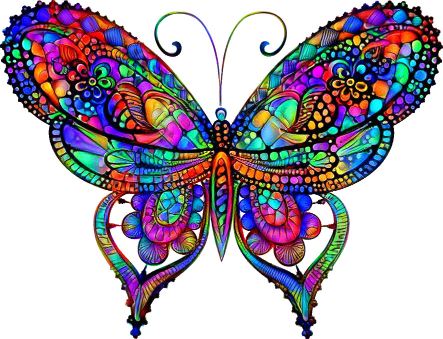 Butterfly4