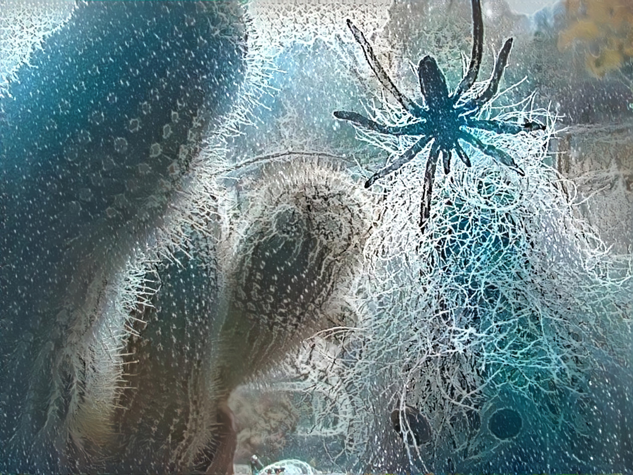 Ghost cactus with spider [frosted]