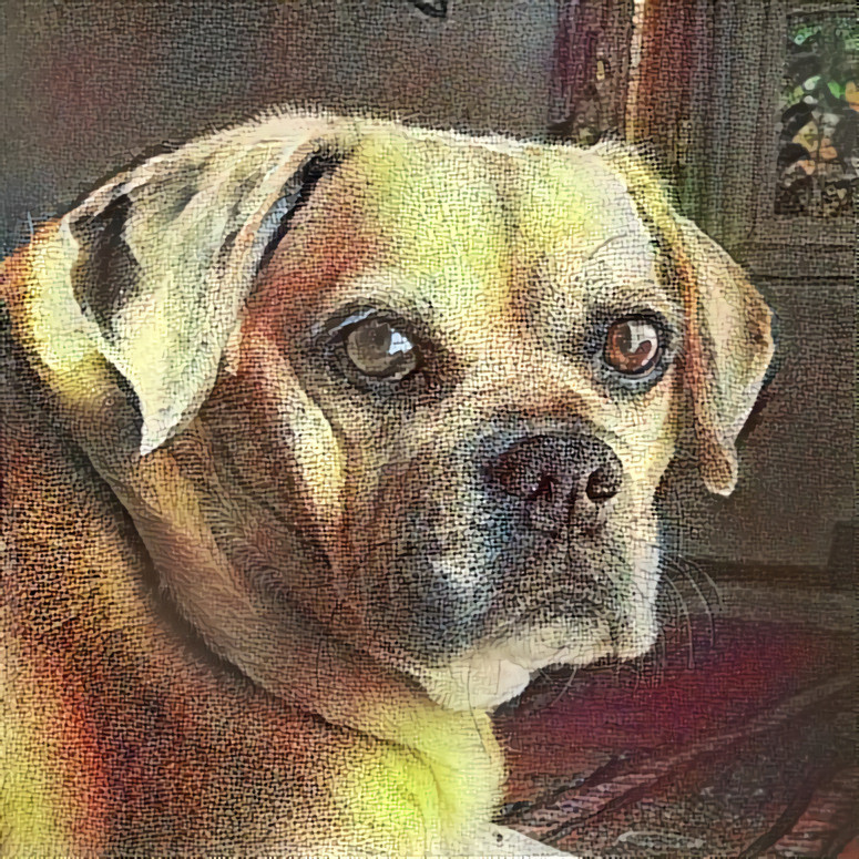 RIP - Rosie the Puggle - 2007 to 2019