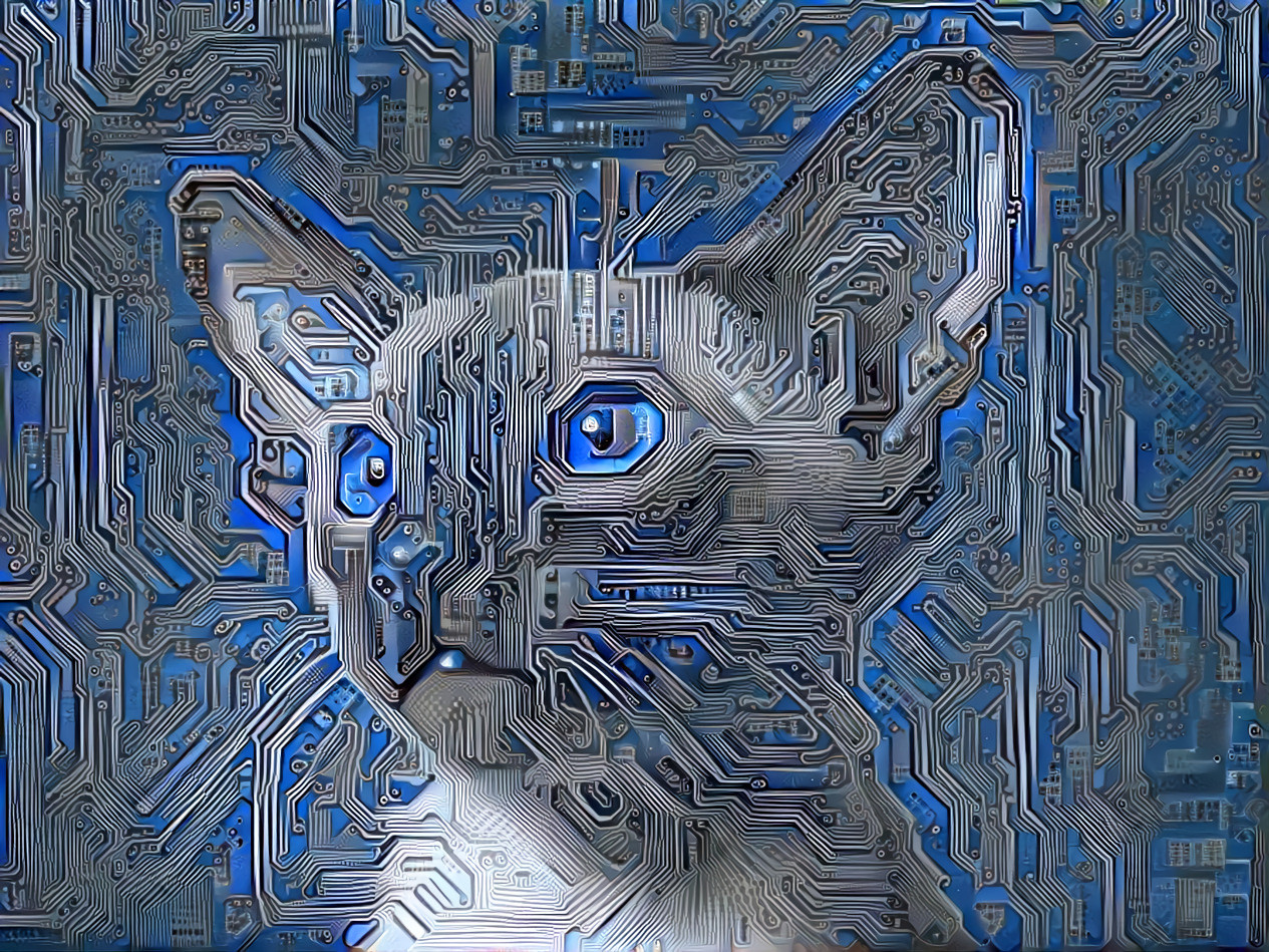 Techy Feline