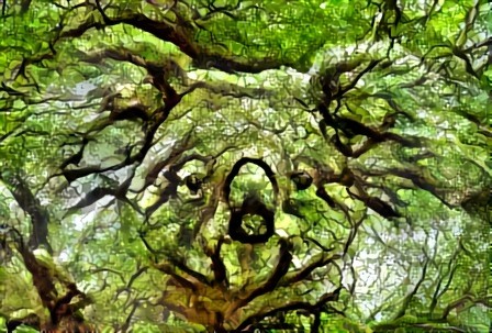 Tree Spirit