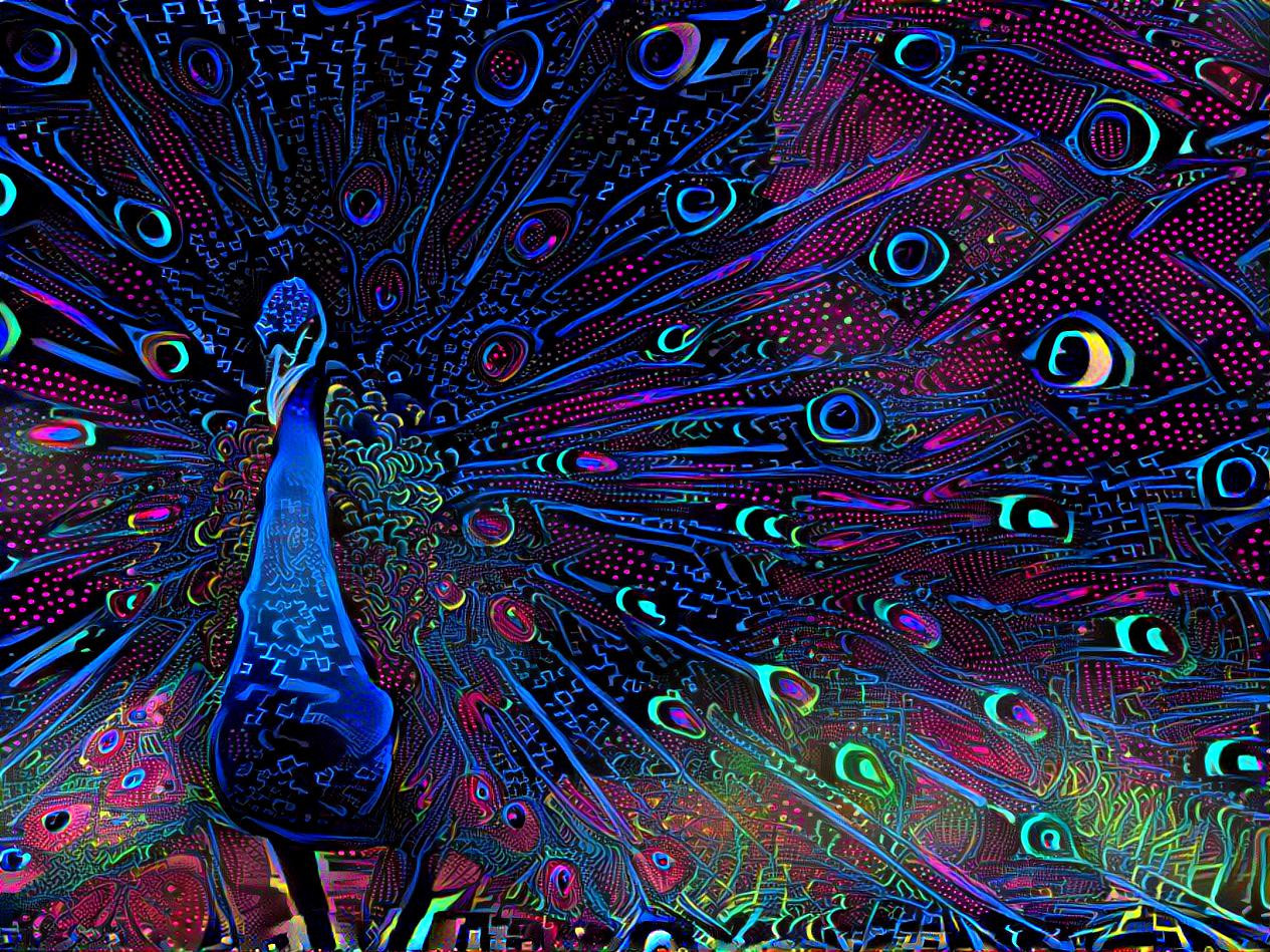 PCPeacock