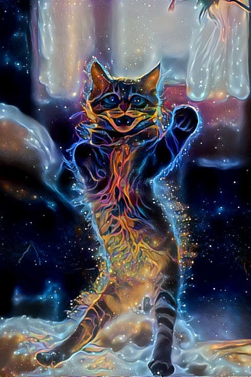 Cosmic Kitten Dance