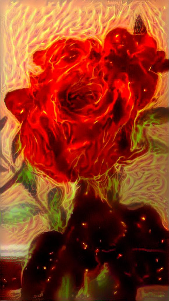 Roses Abstract