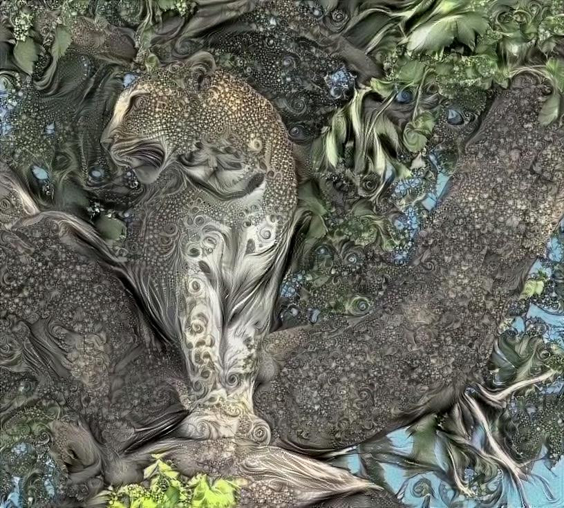 African Leopard in a Marula Tree -Sclerocarya birrea