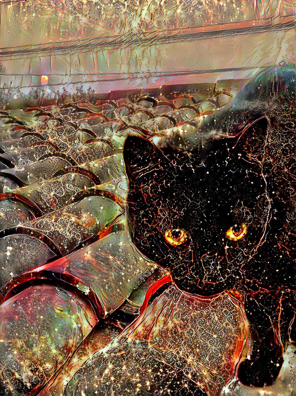 Black cat full moon conjunto