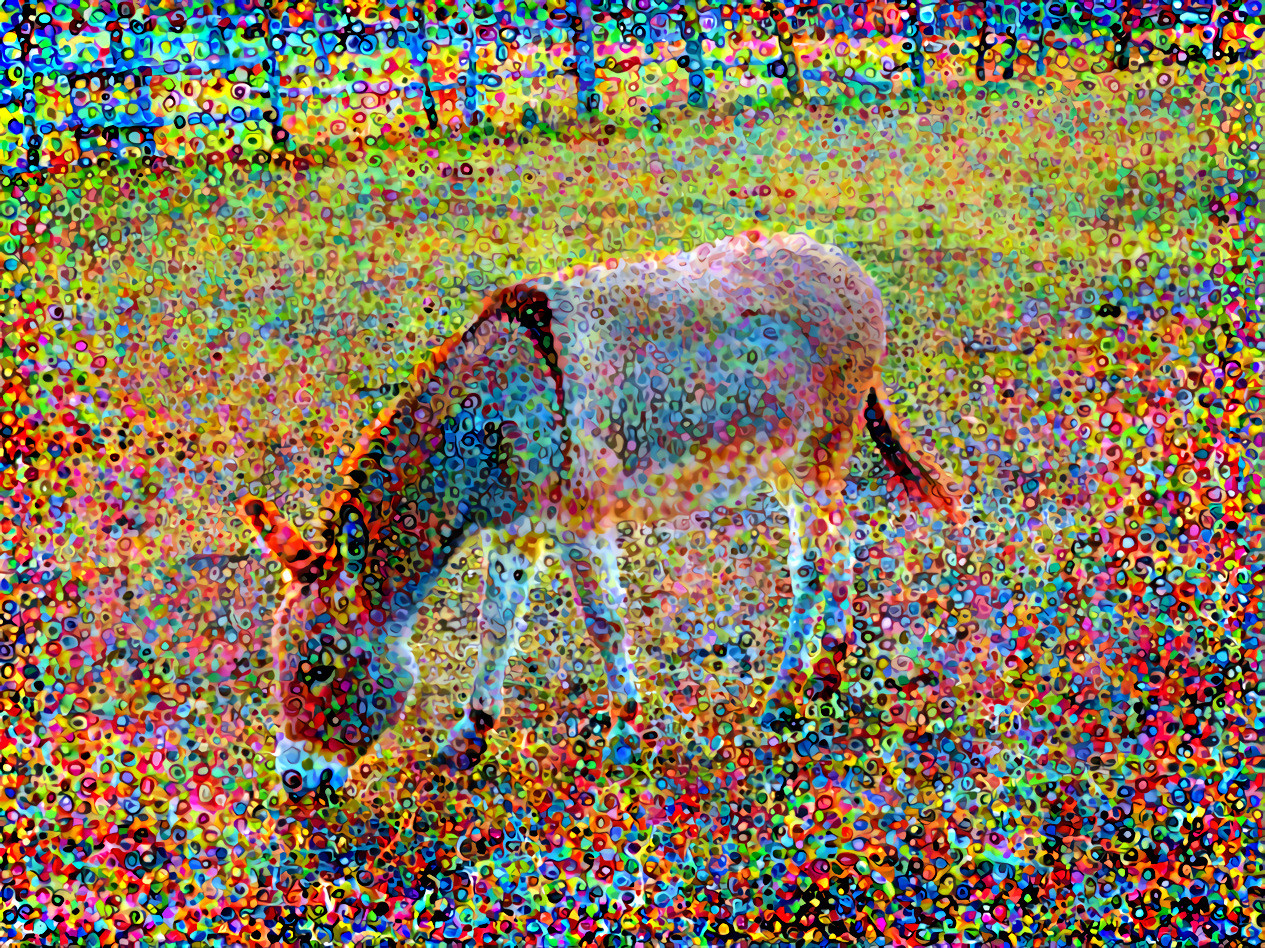 Donkeys 3 photocollage_010