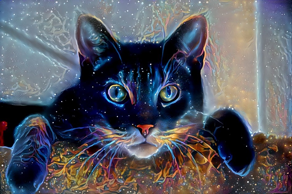 Cosmic Kitty Loves You!