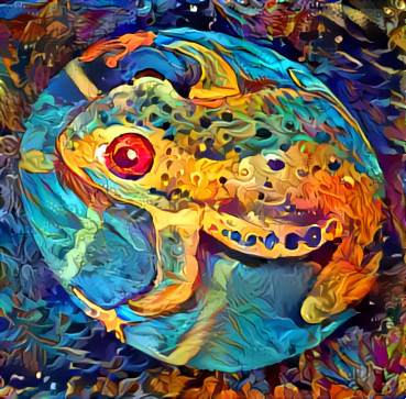 DDG Colorful Frog