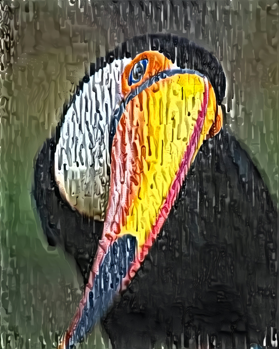The Toucan
