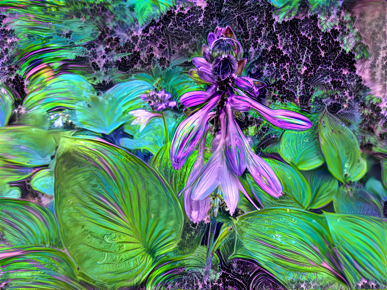 plantain lily in bloom