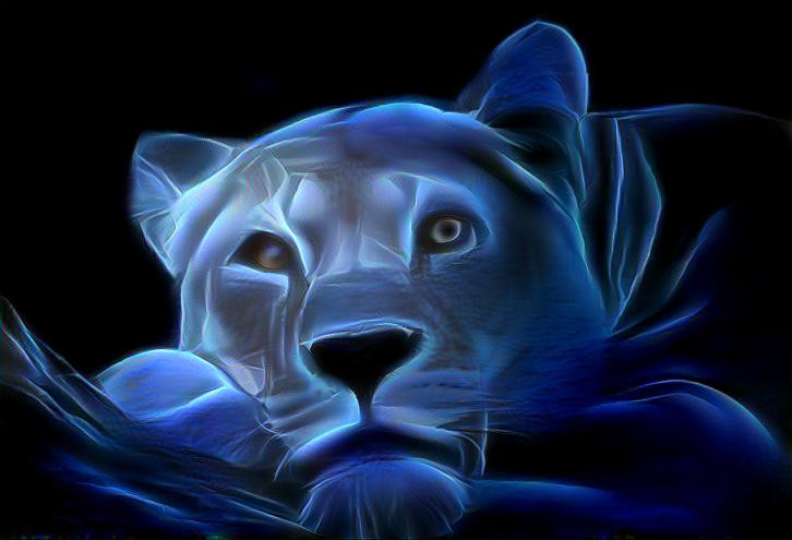 Blue Lioness