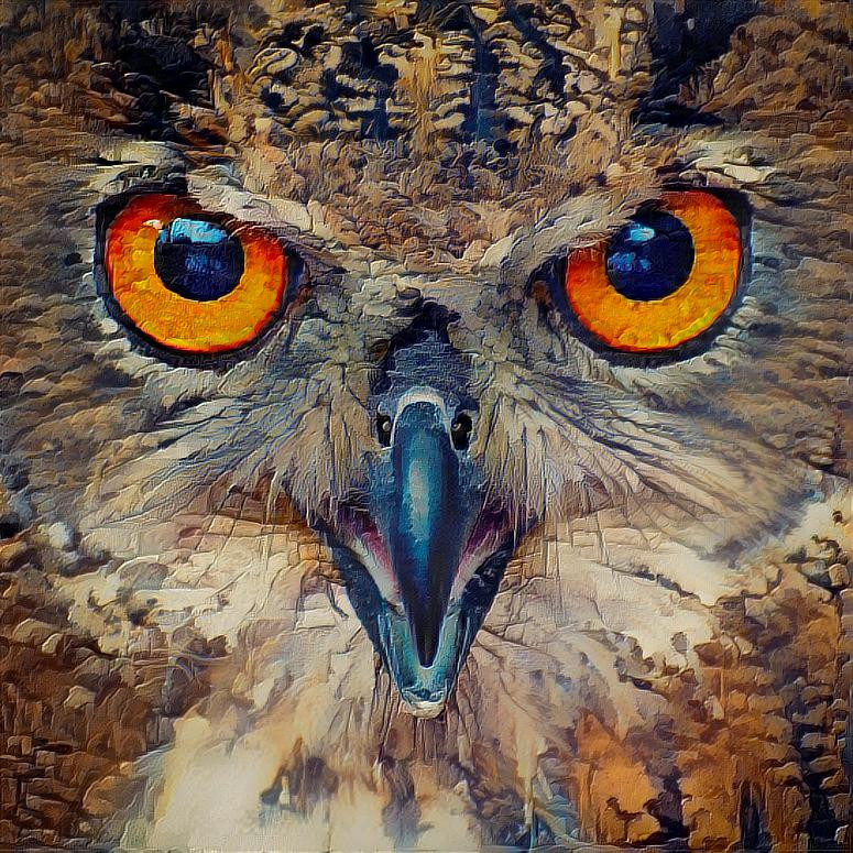 Deep Dream: Eagle Owl Eyes (Ver.4)