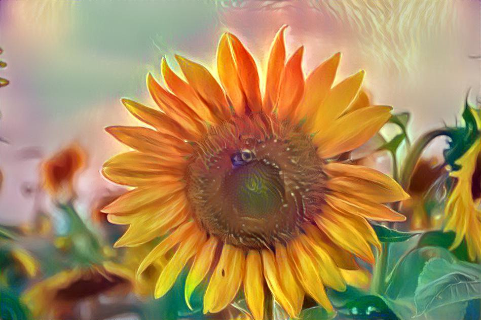 Bees Love Sunflowers 