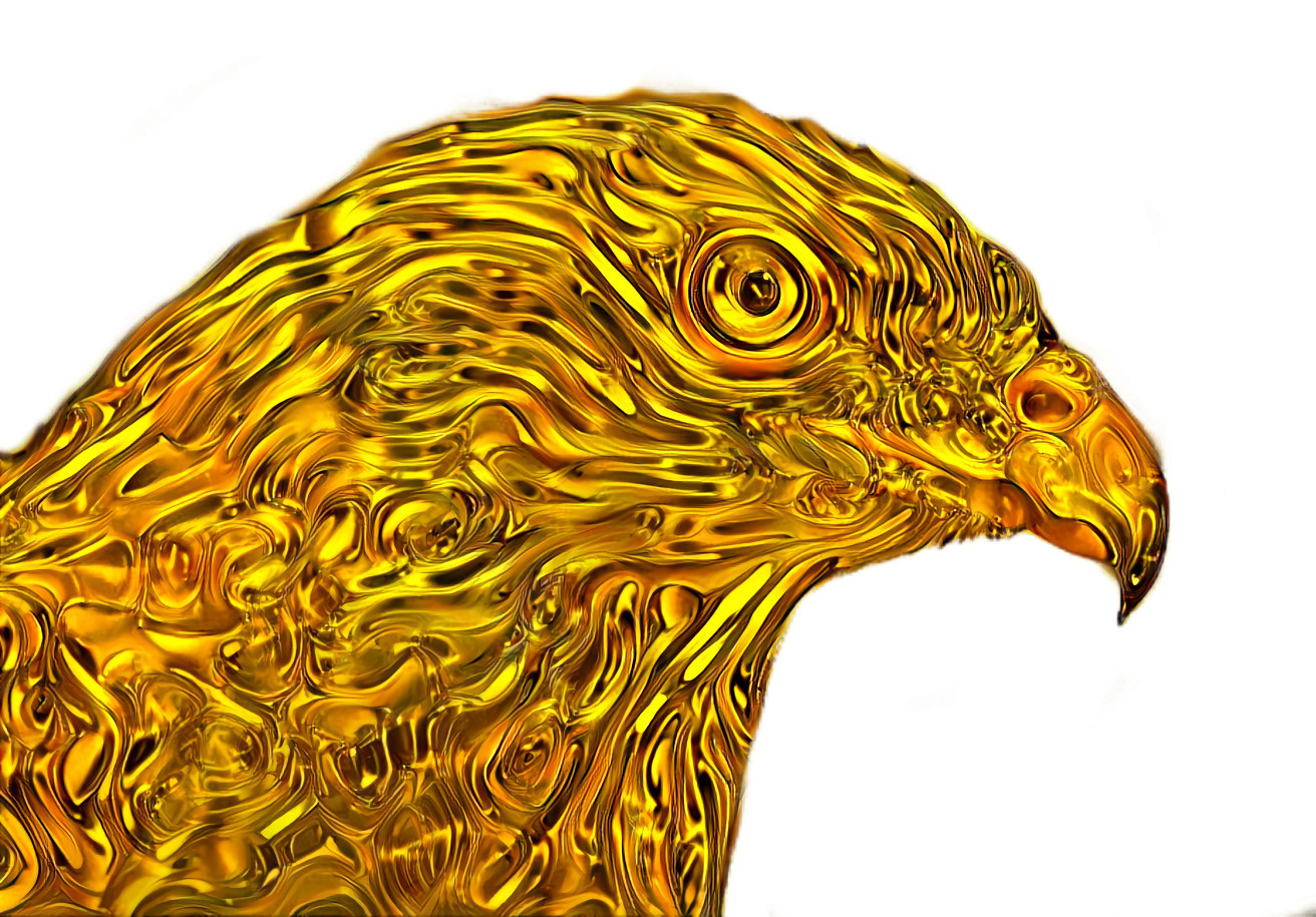 Golden Hawk - Style Transfer Art - DWP Remix