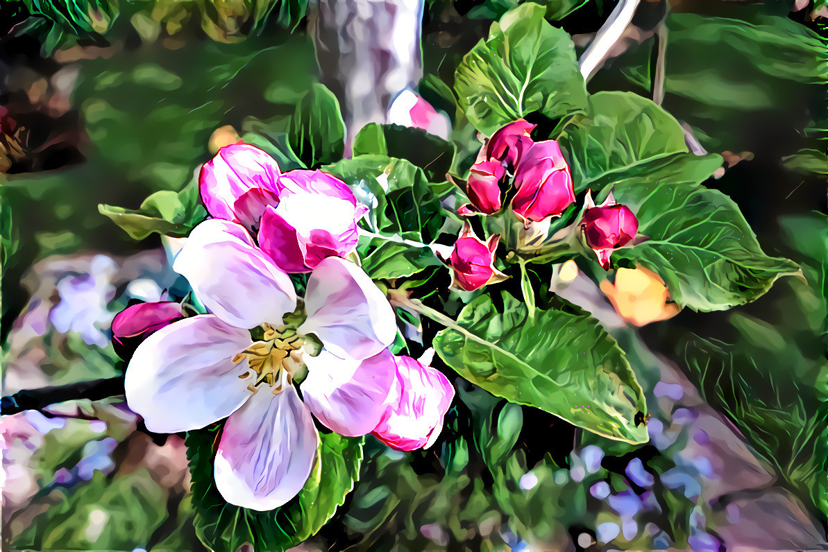 Apple blossom 3 alizarine 1 HD