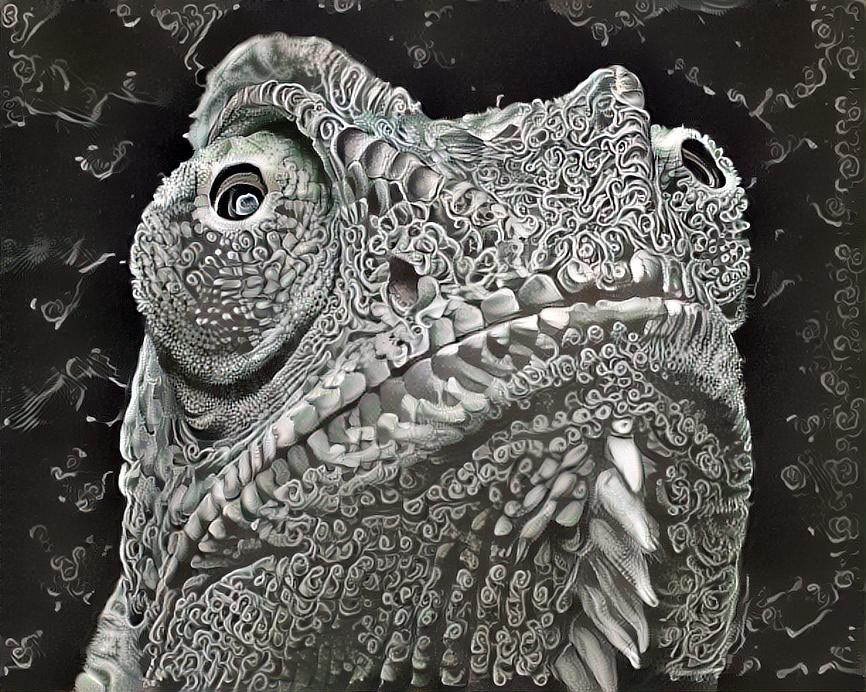 Engraved Chameleon