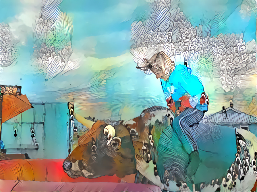 Bull riding at the Fair - Indian River, DE