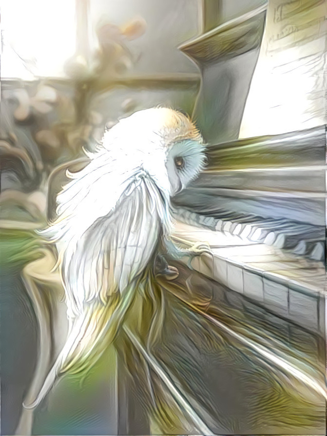 Piano owl (strix pianosa)