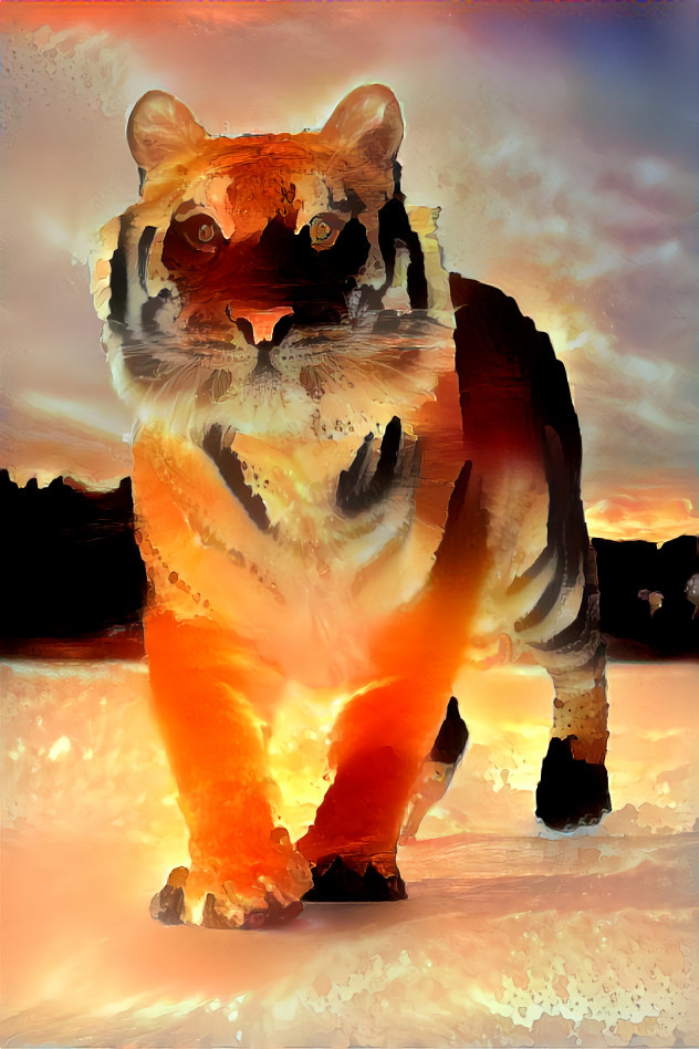 blazing tiger dream
