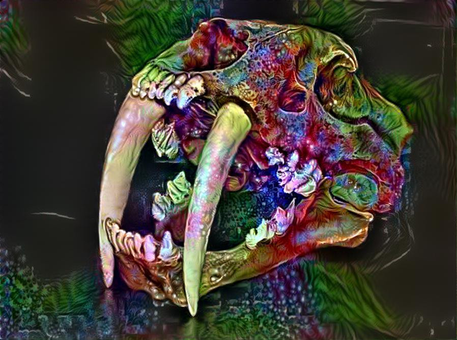 Petrified Opal Skull