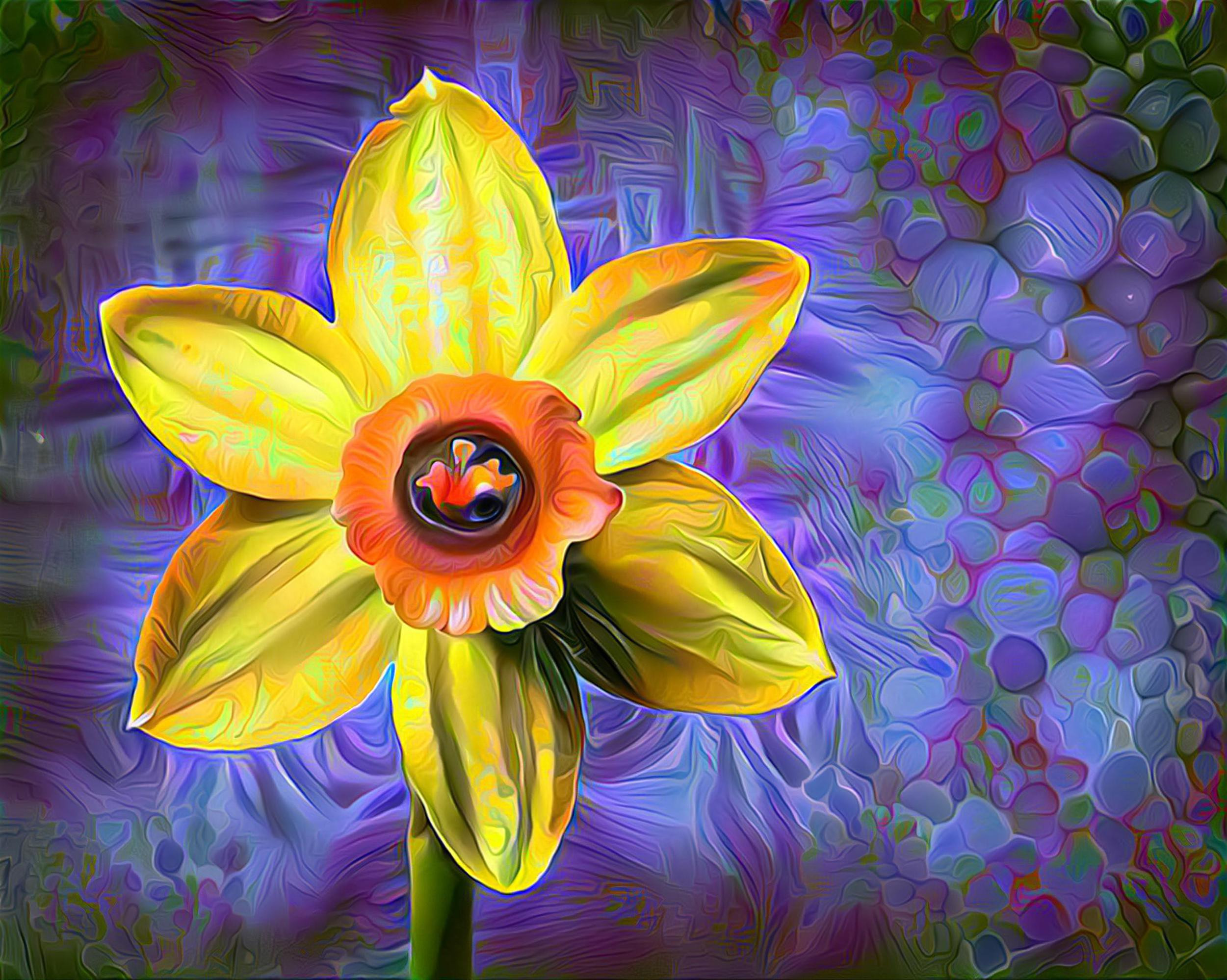 Daffodil  Dazzle