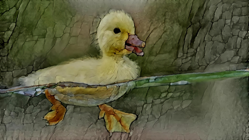 Duckling_02