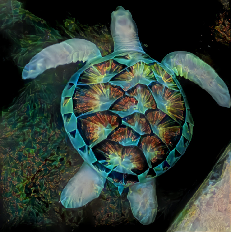 Glowing turtle