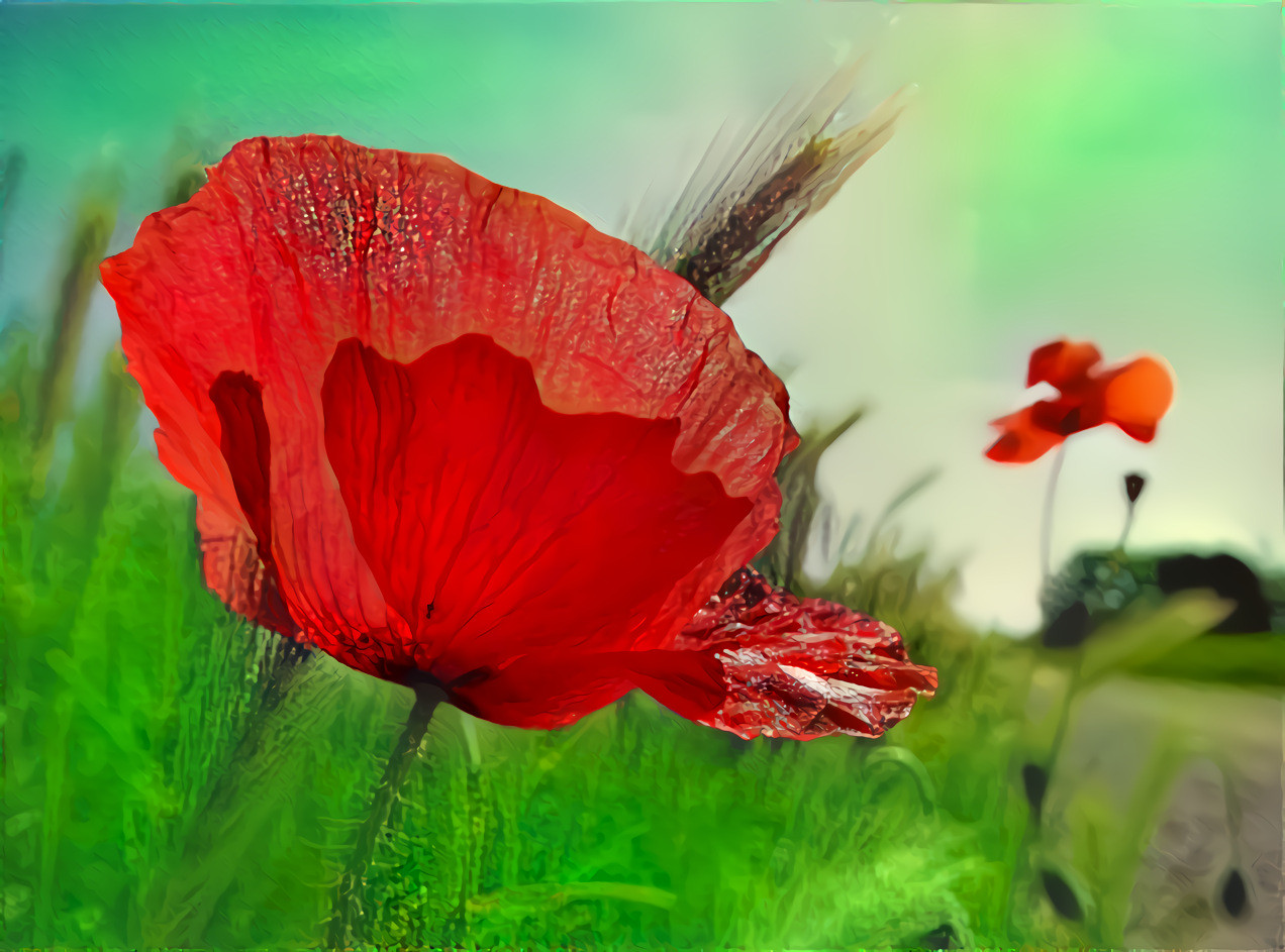 poppy beautified with poppy image created by AI
