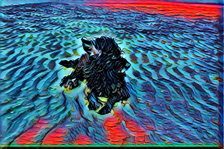 Dog On The Beach II